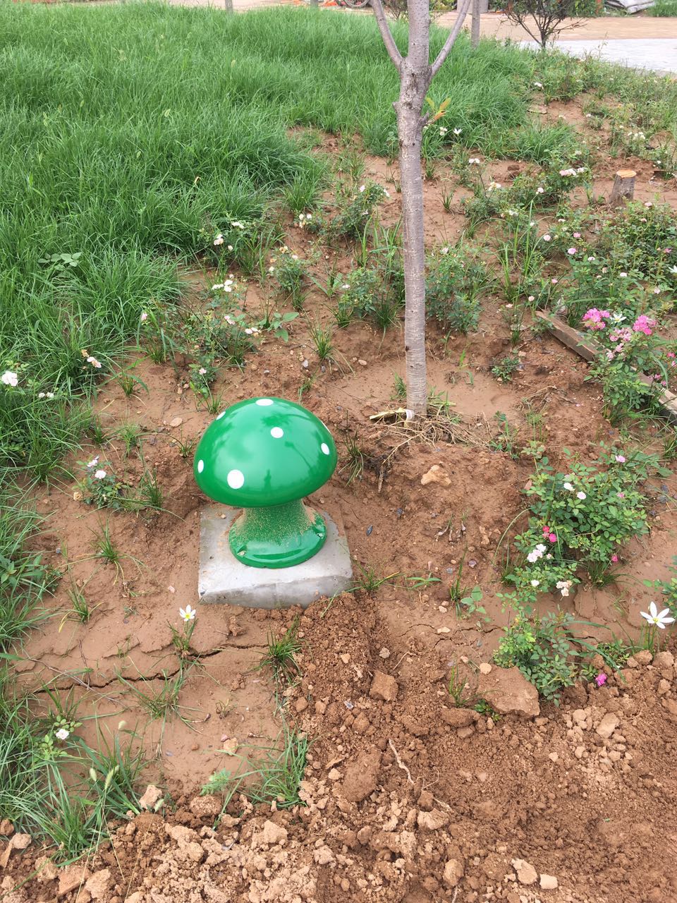 威尼斯87978797(中国)老品牌-官方网站