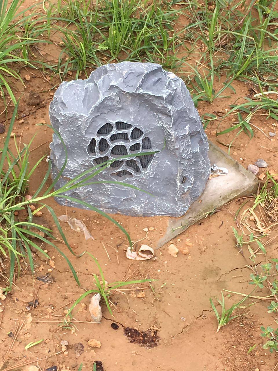 威尼斯87978797(中国)老品牌-官方网站